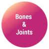 bones & joints